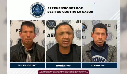 Detenidos por delitos contra la salud