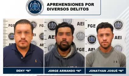 Detenidos por diversos delitos