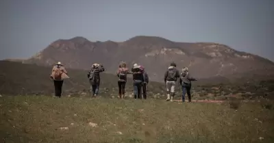 ntegrantes del Colectivo de Bsqueda San Quintn durante un operativo de bsqued