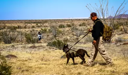 Un binomio canino de la Fiscala General del Estado durante un operativo de bsq