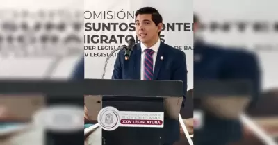 Diputado Romn Cota Muoz