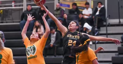 Basquetbol femenil