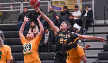 Basquetbol femenil