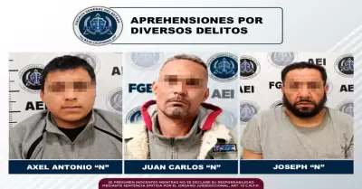 Detenidos por diversos delitos