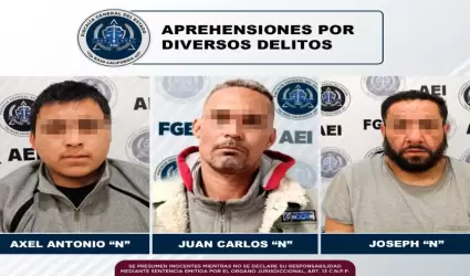 Detenidos por diversos delitos