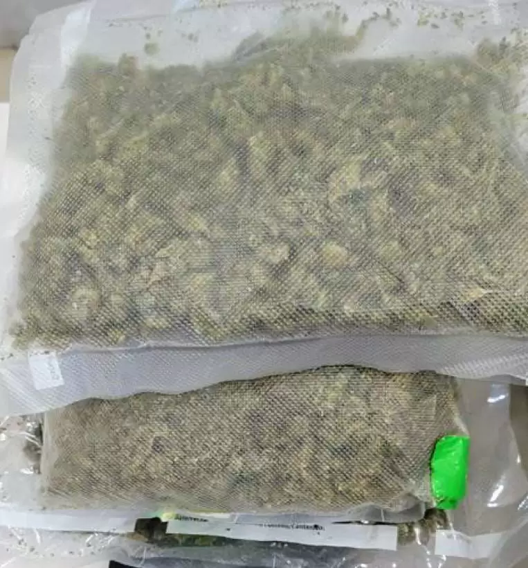 Sentenciado por introducir marihuana al pas