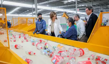 Reciclaje de botellas plsticas tipo PET