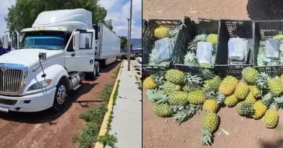 Ladrillos con cocana fueron encontraron entre la pia