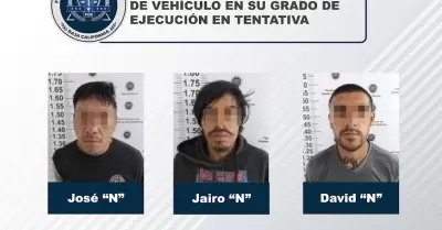 Vinculados a proceso