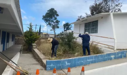 Acciones de mantenimiento y seguridad en la colonia Lucio Blanco