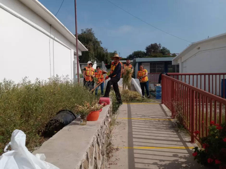 Acciones de mantenimiento y seguridad en la colonia Lucio Blanco