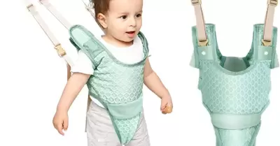 arnes para bebe
