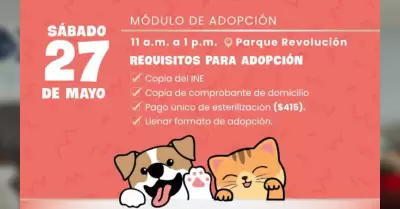 M�dulo de adopci�n