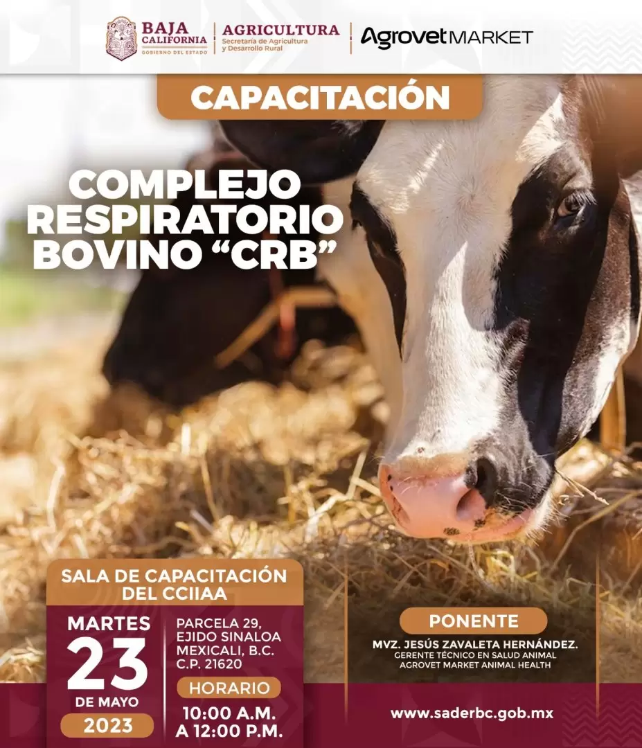 Capacitacin a ganaderos de bovinos, caprinos y ovinos