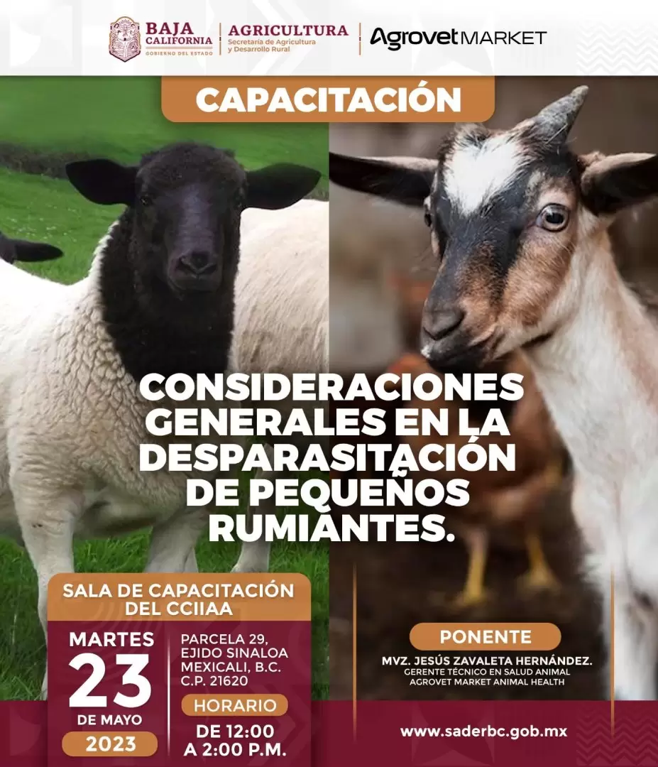 Capacitacin a ganaderos de bovinos, caprinos y ovinos