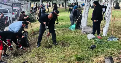 Jornada de reforestacin