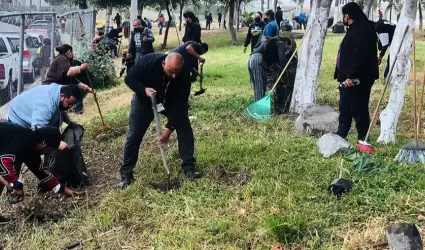 Jornada de reforestacin