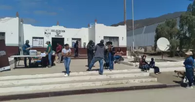 Jornada de salud animal Isla de Cedros