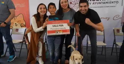 Bazar bienestar animal y m�dulo de adopci�n mascotas
