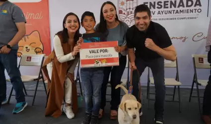 Bazar bienestar animal y m�dulo de adopci�n mascotas