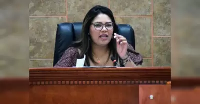 Diputada Montse Murillo