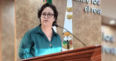 Diputada Roco Adame