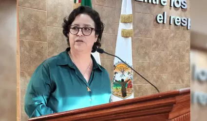 Diputada Roco Adame