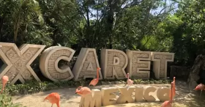 Grupo Xcaret