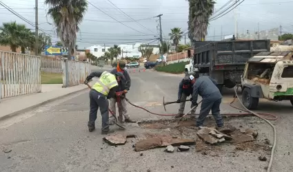 Contina Gobierno de Rosarito labores de limpieza en la ciudad