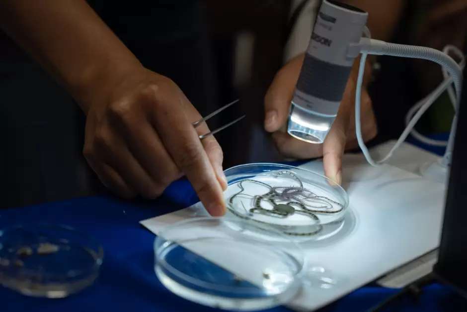 Festival de Divulgacin de las Ciencias del Ocano y la Atmsfera