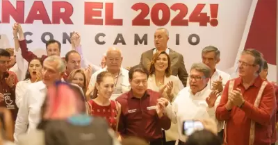 Marina del Pilar particip� en la definici�n de Morena por el m�todo para determi