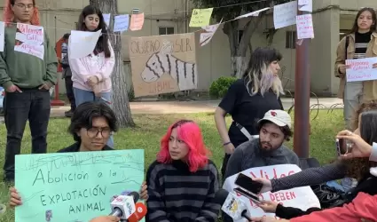 Activistas se manifiestan contra burros-cebra de "La Revu"; lo consideran maltra