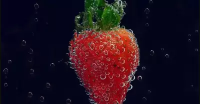FRESAS