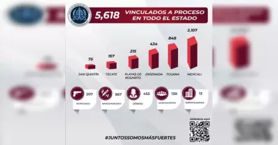 Graficas de la FGE