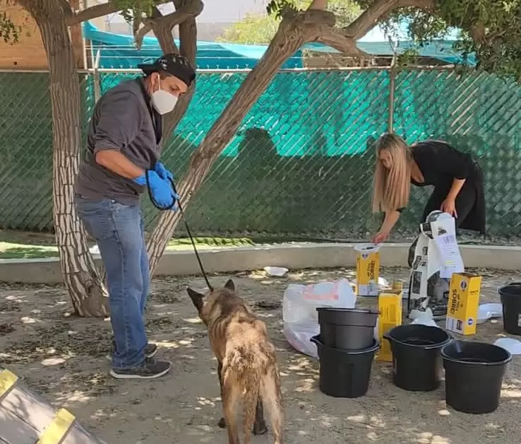 Valoracin de perros y gatos de albergue clausurado