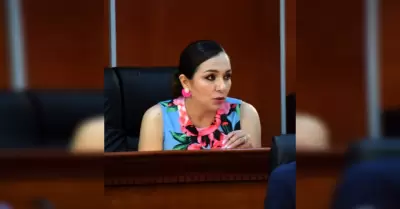 Diputada Amintha Guadalupe Brice�o Cinco