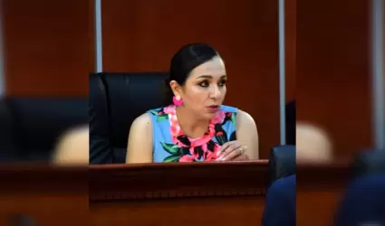 Diputada Amintha Guadalupe Brice�o Cinco