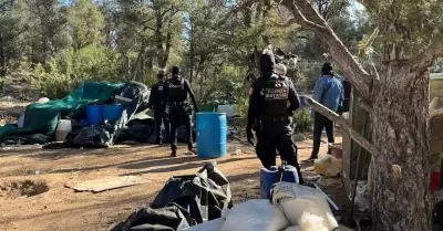 Localizan Fuerza Estatal y SEDENA laboratorio de droga y plant�os de marihuana e