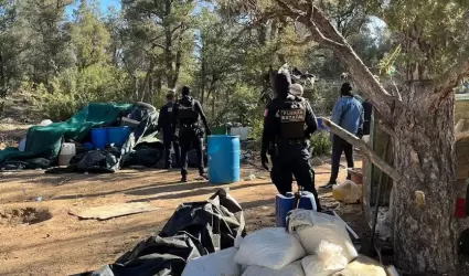 Localizan Fuerza Estatal y SEDENA laboratorio de droga y plant�os de marihuana e