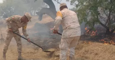 Combaten incendio en sierra La Prica, en Nacozari