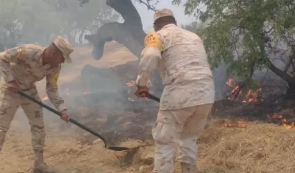 Combaten incendio en sierra La Prica, en Nacozari