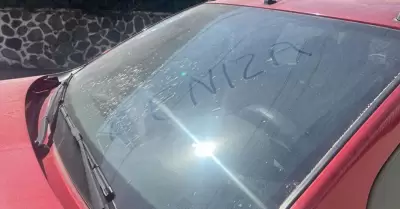ca�da de ceniza