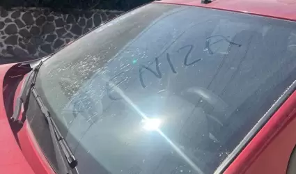 ca�da de ceniza