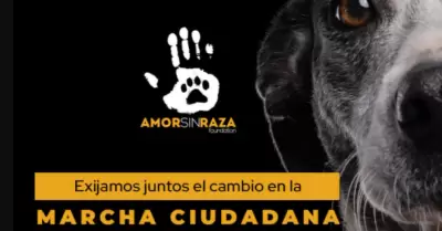 Marcha Nacional Ciudadana por los Derechos de los Animales