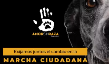 Marcha Nacional Ciudadana por los Derechos de los Animales