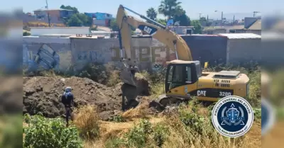 Acciones de b�squeda