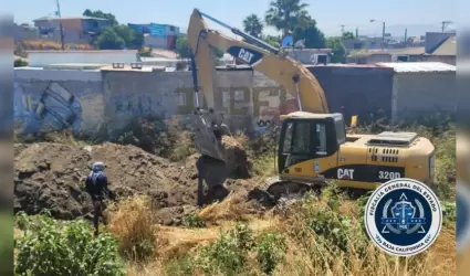 Acciones de b�squeda