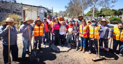 Bacheo de sus colonias