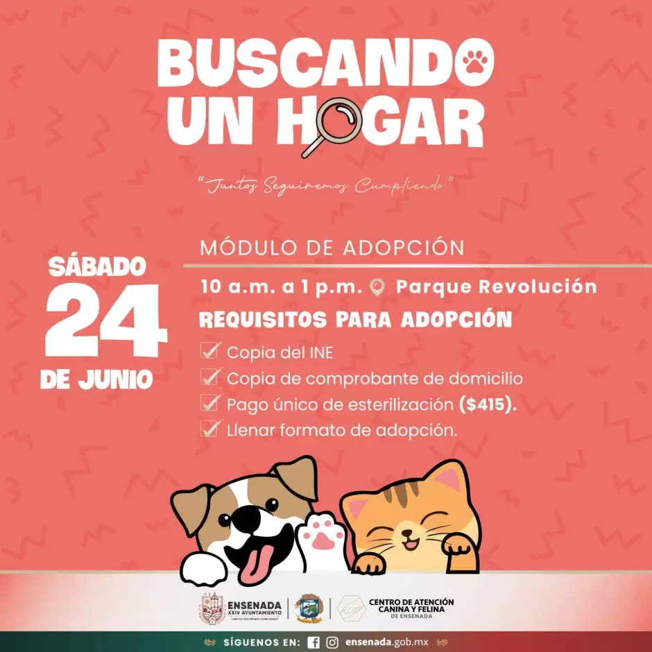 Modulo de adopcion mascotas