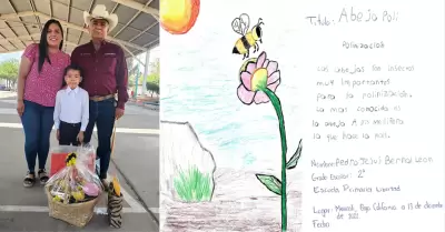 Gana Ni�o Mexicalense primer lugar del Concurso Estatal "La abeja y su entorno"